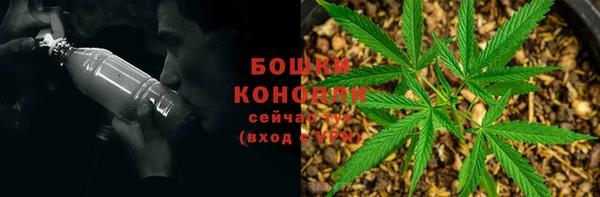 ПСИЛОЦИБИНОВЫЕ ГРИБЫ Волосово
